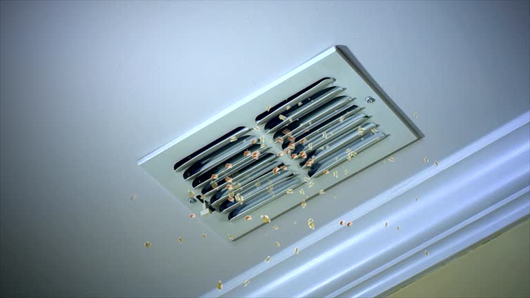 Best Commercial Air Duct Cleaning  in Hooper, NE